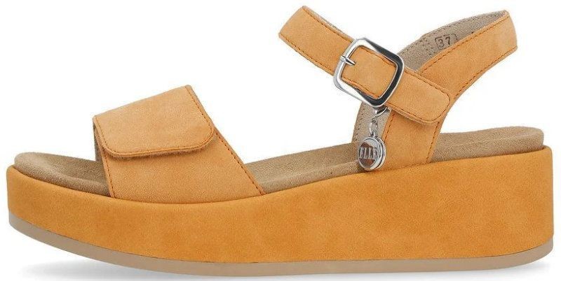 8/0/1/4/9/5/3/8014953